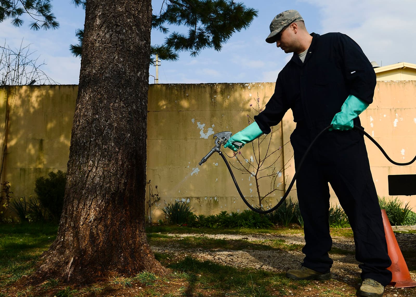 Who Pays for Pest Control in a Rental?