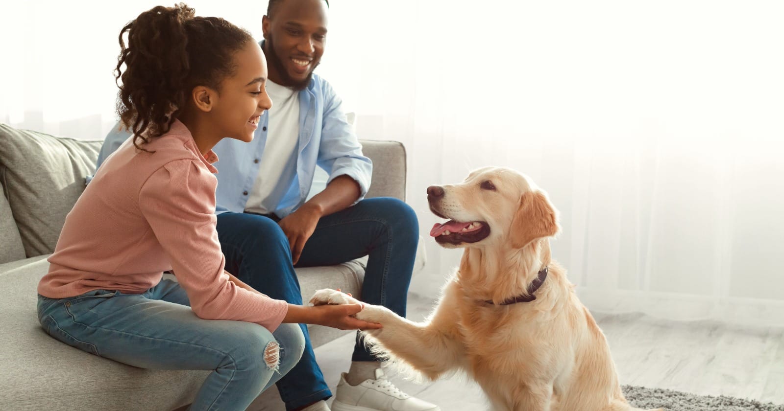 Service Animals vs Emotional Support Animals vs Pets | YourLeaseAgreement.com