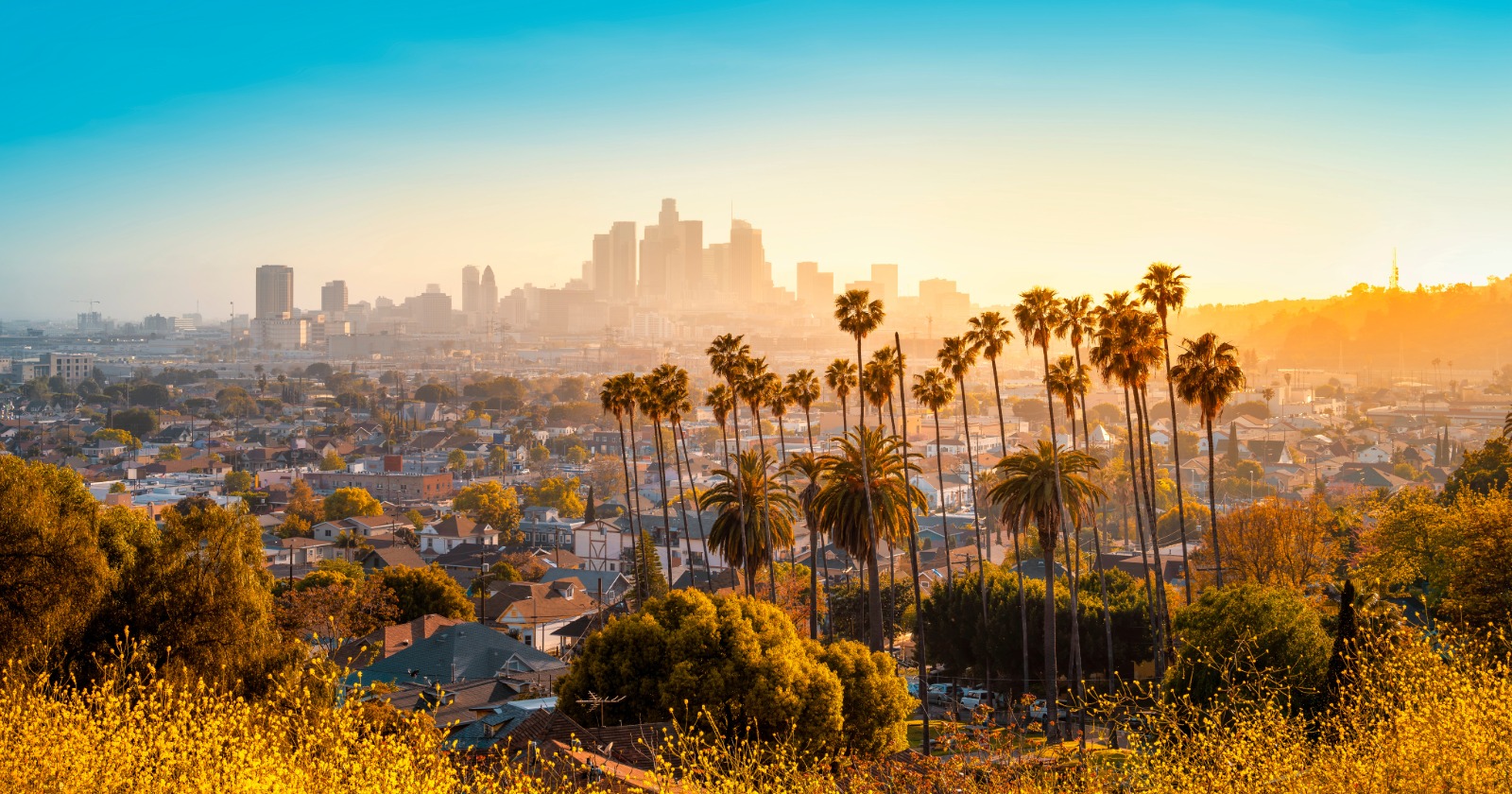 What Is the Maximum Late Fee in California?
