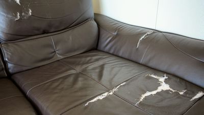 Who Pays When Furnished Furniture Gets Damaged in a Rental?