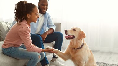 Can a Landlord Say No to an Emotional Support Animal?