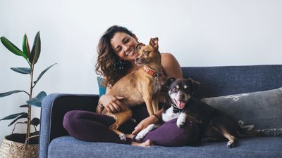 How to Write a Pet Addendum for Your Lease