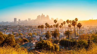 What Is the Maximum Late Fee in California?