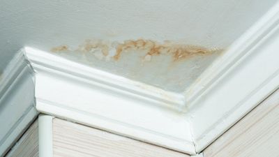 Normal Wear and Tear vs Damage: What a Landlord Can Legally Deduct
