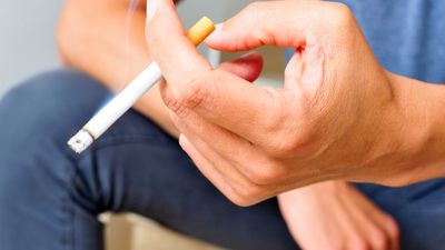 Can a landlord ban smoking or marijuana in a rental?